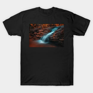 Disappointment Falls T-Shirt